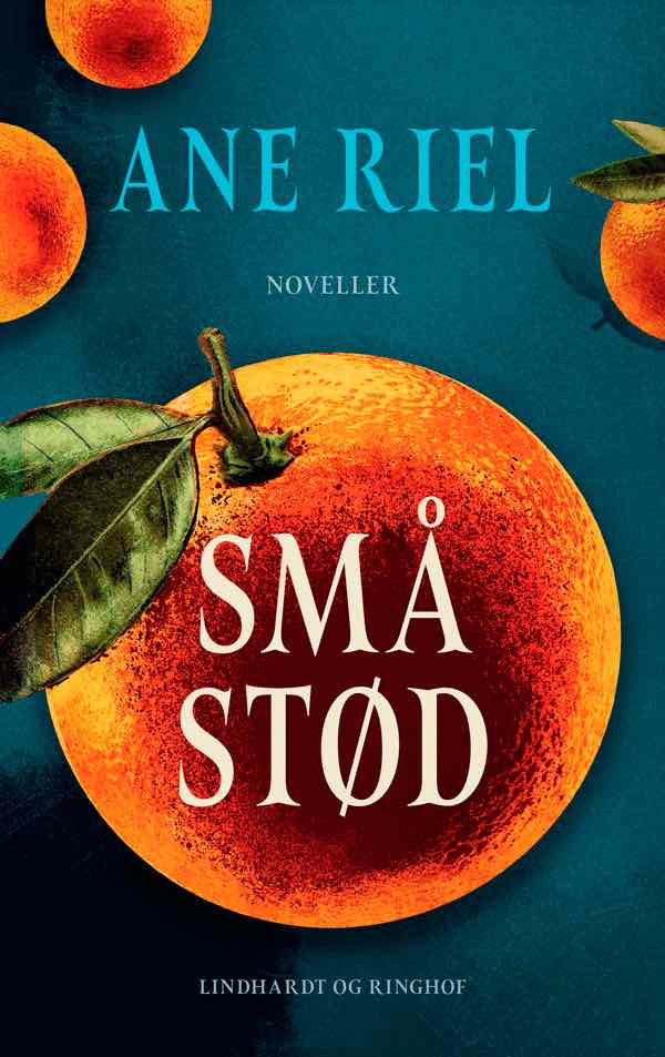 Små stød – Ane Riel